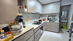 The Visionaire (D27), Condominium #522311991